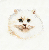 Белый персидский кот Thea Gouverneur 1045